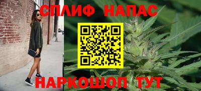 дурь Можга