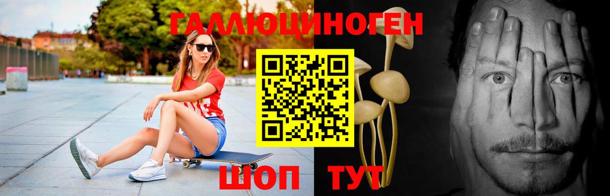 LSD-25 Сланцы